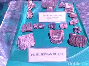 Lini Masa Konservasi Kehidupan Purba di Situs Tambaksari Ciamis Lini Masa Konservasi Kehidupan Purba di Situs Tambaksari Ciamis