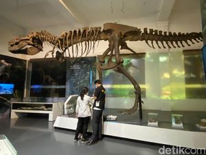 Melihat Fosil Tyrannosaurus Rex di Museum Geologi Bandung Melihat Fosil Tyrannosaurus Rex di Museum Geologi Bandung