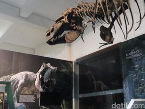 Ngabuburit dengan Wisata Edukasi di Museum Geologi Bandung