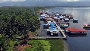 Melihat Wisata Hutan Sagu di Kampung Yoboi Jayapura