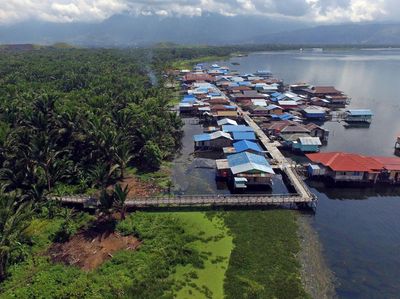 Melihat Wisata Hutan Sagu di Kampung Yoboi Jayapura