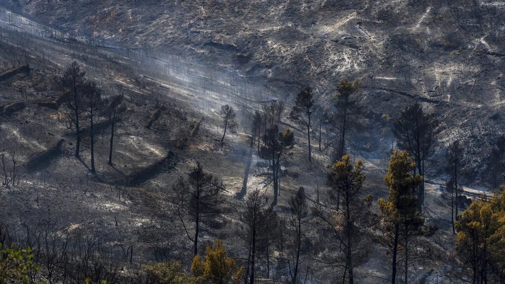 Penampakan Hutan yang Gosong Akibat Kebakaran di Spanyol