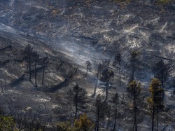 9 Ayat Al Quran yang Jadi Dalil Larangan Berbuat Kerusakan di Muka Bumi