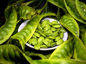 Ini Kecamatan Penghasil Jengkol dan Petai Terbanyak di Ciamis Ini Kecamatan Penghasil Jengkol dan Petai Terbanyak di Ciamis