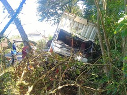 Hindari Kecelakaan, Truk Angkut Bir Tabrak Pohon Perindang di Jembrana