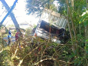 Hindari Kecelakaan, Truk Angkut Bir Tabrak Pohon Perindang di Jembrana Hindari Kecelakaan, Truk Angkut Bir Tabrak Pohon Perindang di Jembrana
