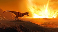 Studi: Dinosaurus Masih Jaya Kalau Asteroid Tak Hantam Bumi Studi: Dinosaurus Masih Jaya Kalau Asteroid Tak Hantam Bumi
