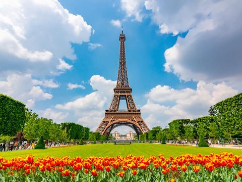 Eiffel Tower and spring tulips on Field of Mars, Paris, France