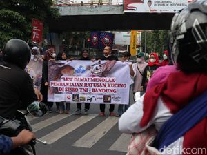Suara Komunitas Pecinta Hewan Sesalkan Penembakan Kucing di Bandung Suara Komunitas Pecinta Hewan Sesalkan Penembakan Kucing di Bandung