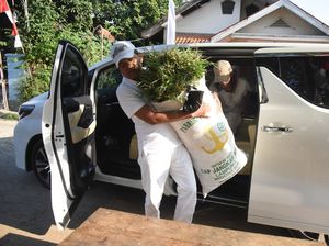 Pemandangan Langka, Alphard Dipakai Angkut Rumput