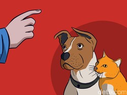 Panggil Ancom, Kucing Hilang Langsung Pulang