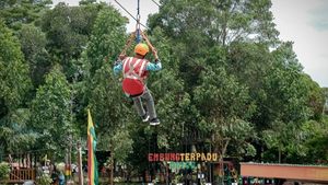 Pesona Desa Wisata Dayun Siak Riau