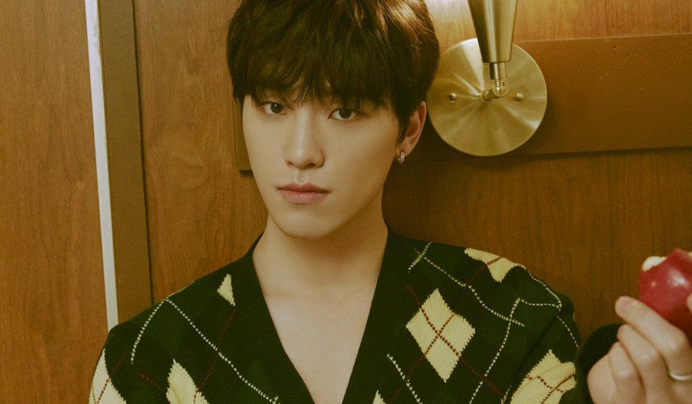 Dino SEVENTEEN