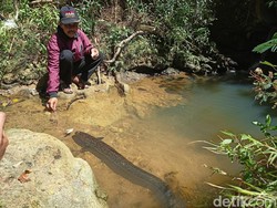 Kisah Ikan Keramat Penghuni Sungai Ponorogo, Haram Buat Diambil!