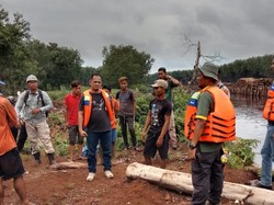 Warga Melihat Insiden Harimau Menerkam Pekerja HTI di Pelalawan