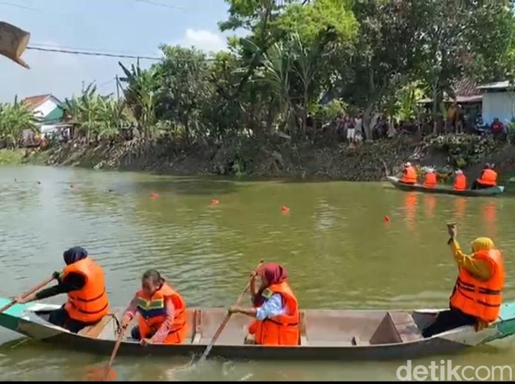 Serunya Lomba Agustusan Dayung Perahu Tradisional di Bengawan Solo Lamongan