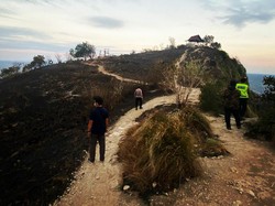 Bupati Klungkung: Tarif Baru Fast Boat Kusamba-Nusa Penida Kemahalan