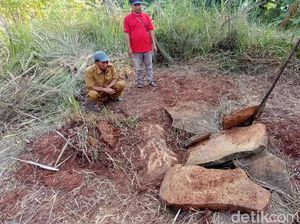 Situs Peti Kubur Batu, Peninggalan Budaya Megalitik di Cirebon Situs Peti Kubur Batu, Peninggalan Budaya Megalitik di Cirebon