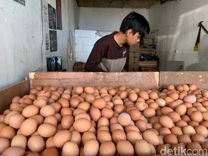 Duh! Harga Telur Ayam Naik Nggak Masuk Akal, Ini Biang Keroknya