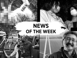 Terpopuler Sepekan: Jenderal TNI Tembaki Kucing hingga Istri Sambo Jadi Tersangka