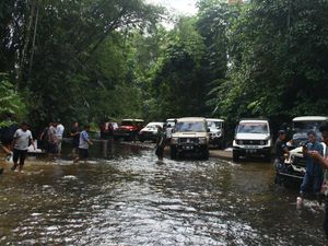 Seru! Menyusuri Hutan Tropis Riau Bareng Klub Mobil Tua Seru! Menyusuri Hutan Tropis Riau Bareng Klub Mobil Tua
