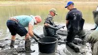 Di Belanda, Mereka Ramai-ramai Selamatkan Ikan dari Sungai Mengering