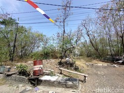 Pejudi Togel di Surabaya Pernah Cari Angka Sampai Gunung Anyar