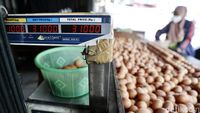 Memantau Harga Telur Ayam yang Terus Meroket