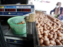 Harga Telur di Gunungkidul Meroket, Tembus Rp 30 Ribu/Kg