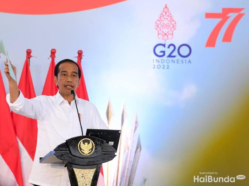 Jokowi Minta Cari Pengganti Shell di Blok Masela, INA Dibidik