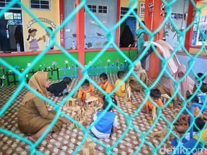 Komisi X DPR Dorong PAUD Jadi Pendidikan Formal, Apa Alasannya?