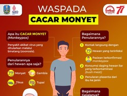 Upaya Gubernur Khofifah Cegah Penyakit Cacar Monyet di Jatim
