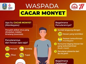 Upaya Gubernur Khofifah Cegah Penyakit Cacar Monyet di Jatim Upaya Gubernur Khofifah Cegah Penyakit Cacar Monyet di Jatim
