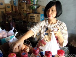 Pedagang Kulon Progo Tuding Bansos PKH Biang Naiknya Harga Telur, Kok Bisa?
