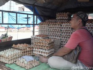 Warga di Polman Menjerit Harga Telur Naik Drastis Jadi Rp 58.000 per Rak Warga di Polman Menjerit Harga Telur Naik Drastis Jadi Rp 58.000 per Rak