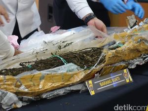 Polda DIY Bongkar Jaringan Ganja Antarpulau, Temukan Ladang 7 Hektare