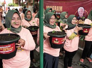 Emak-emak Pendukung Ganjar Bagikan 1.000 Pot Pohon Cabai ke Warga