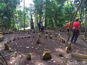 Klaim Koneksi Internet Berkat Circle Stone di Tasikmalaya Klaim Koneksi Internet Berkat Circle Stone di Tasikmalaya