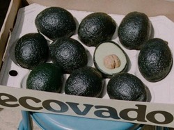 Alpukat Palsu Ini Diklaim Sebagai Buah Tiruan yang Ramah Lingkungan