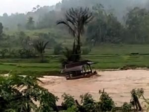 Terendam Banjir, Puluhan Hektare Sawah di Mamasa Terancam Gagal Panen