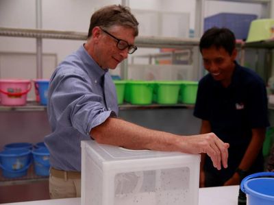Detik-detik Bill Gates Digigit Hewan Berbahaya di Yogyakarta