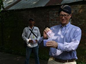 Cerita Bill Gates ke Yogyakarta Melepas Nyamuk Demam Berdarah