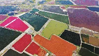 8 Foto Udara Ini Sajikan Apiknya Lanskap Musim Gugur, Cek Dulu Ya...