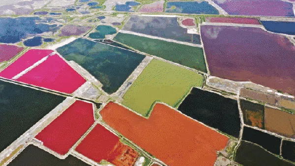 8 Foto Udara Ini Sajikan Apiknya Lanskap Musim Gugur, Cek Dulu Ya...