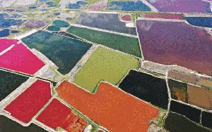 8 Foto Udara Ini Sajikan Apiknya Lanskap Musim Gugur, Cek Dulu Ya...