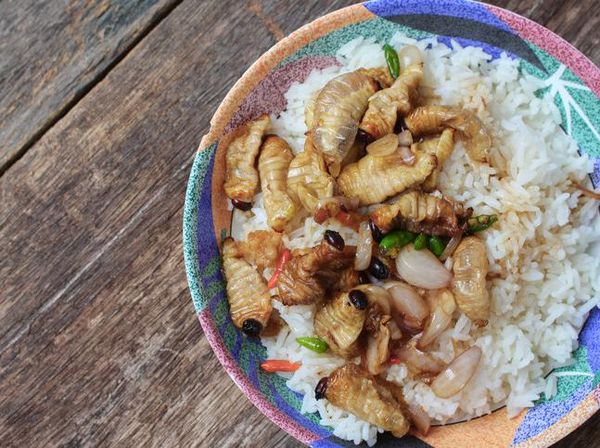 7 Makanan dari Serangga Populer di Indonesia, Ada Belalang hingga Tawon
