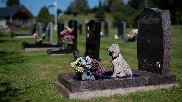 Nih Kuburan Khusus Hewan Peliharaan di Inggris, Biayanya Makin Mahal