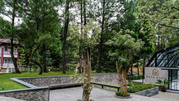 Nikmati Segarnya Puncak Sambil Ngopi Cantik, Ini Tempatnya...