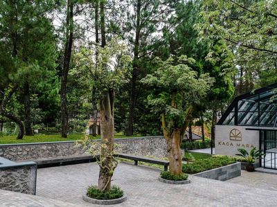 Nikmati Segarnya Puncak Sambil Ngopi Cantik, Ini Tempatnya...