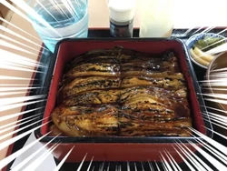 Oishii! Nasi Terong Bakar Ini Disebut Versi Vegan Nasi Unagi
